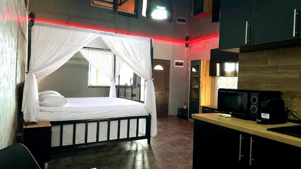 Bed, TV and multimedia, Kitchen or kitchenette, Photo of the whole room, Bedroom