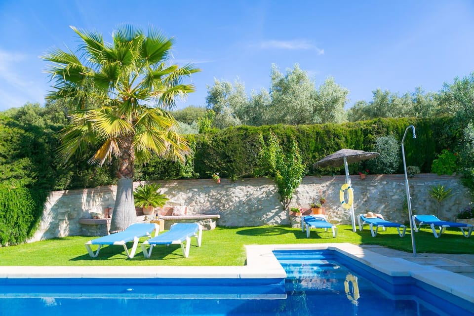 Garden, Swimming pool, sunbed
