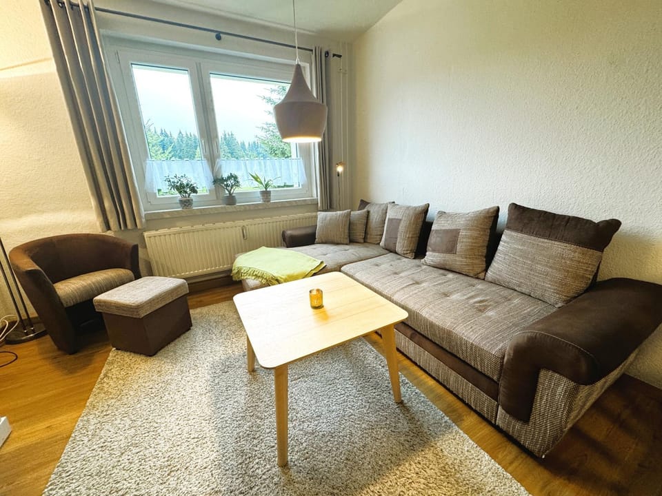 Ferienwohnung 3 Weitersglashütte Apartment in Erzgebirgskreis