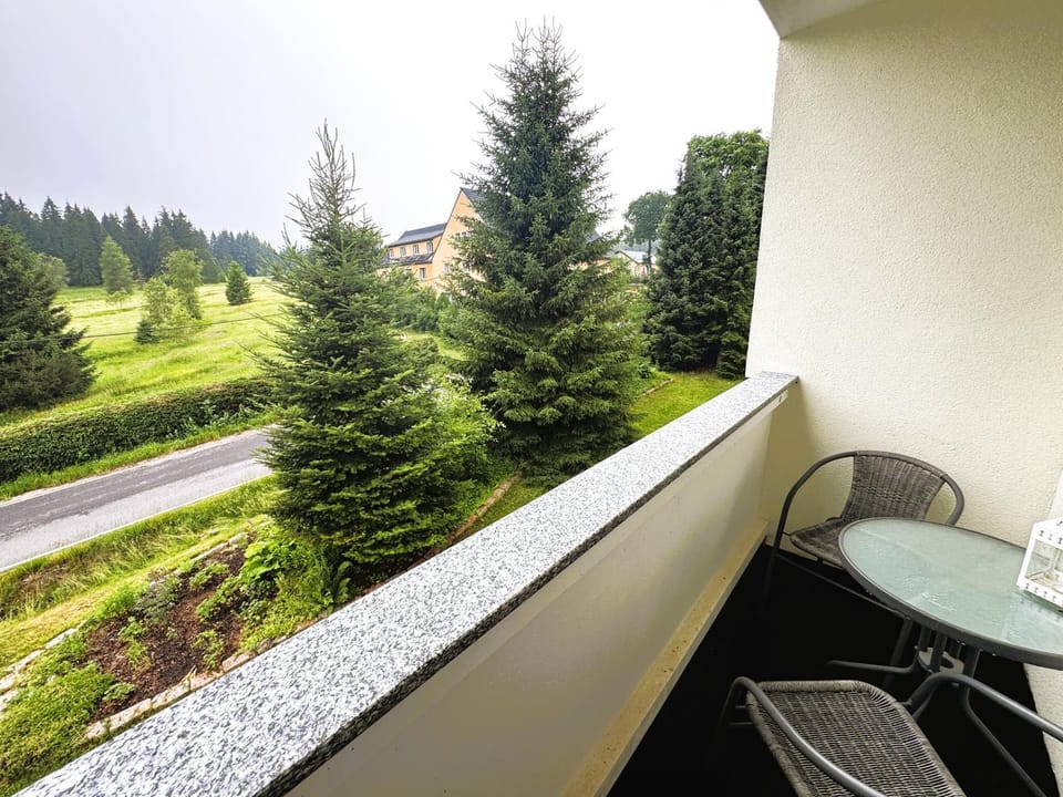 Ferienwohnung 4 Weitersglashütte Apartment in Erzgebirgskreis