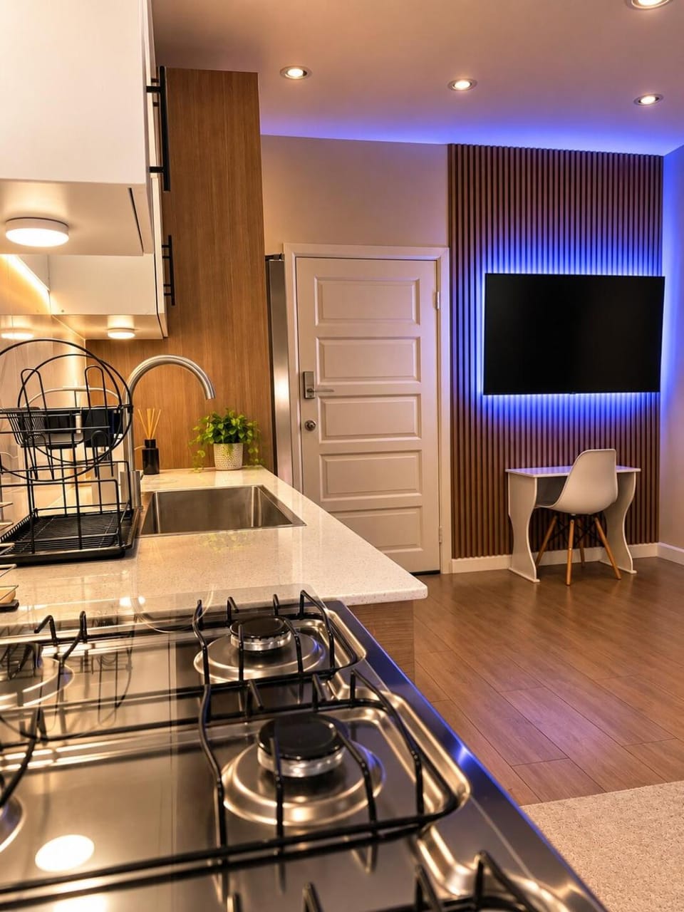 TV and multimedia, Kitchen or kitchenette, Living room, oven