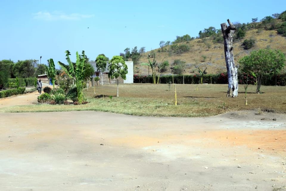 Mazinga Valley Eco Tourism Cottages Nature lodge in Uganda