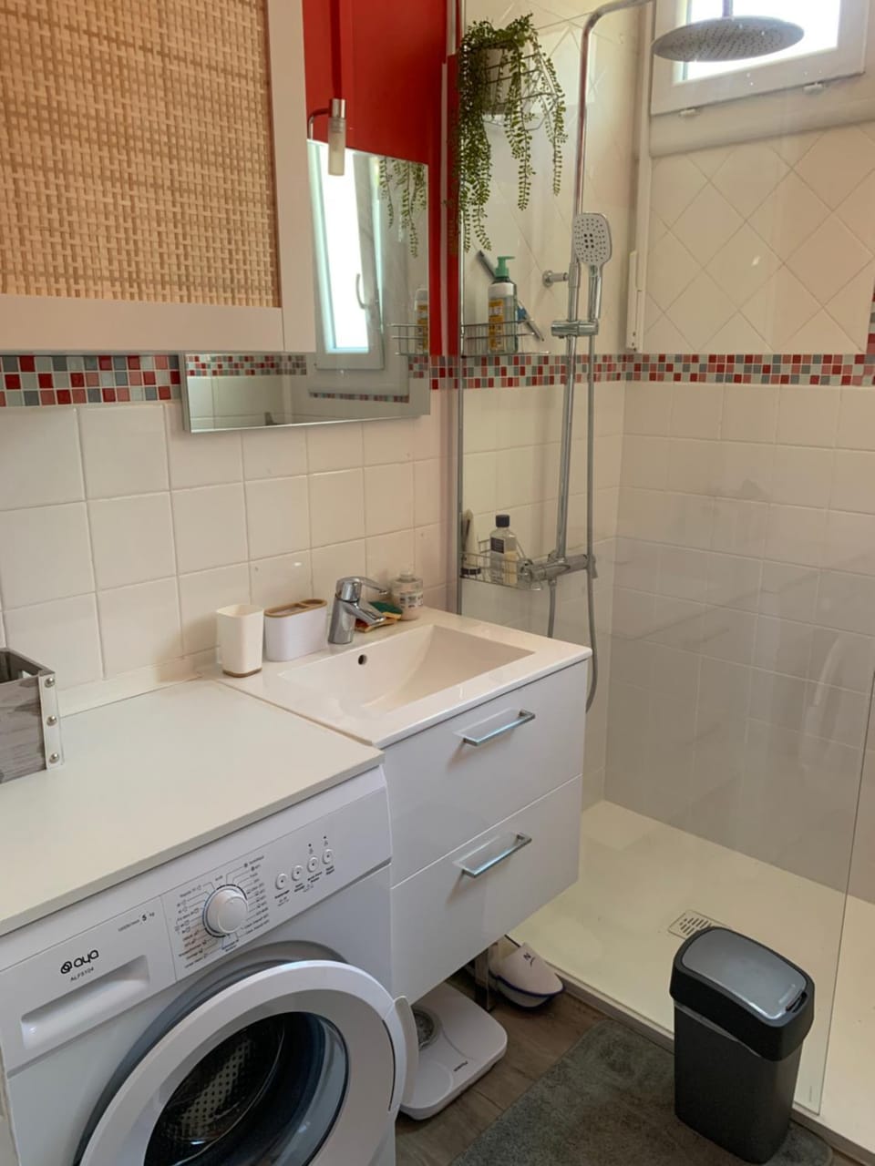 Shower, towels, washing machine