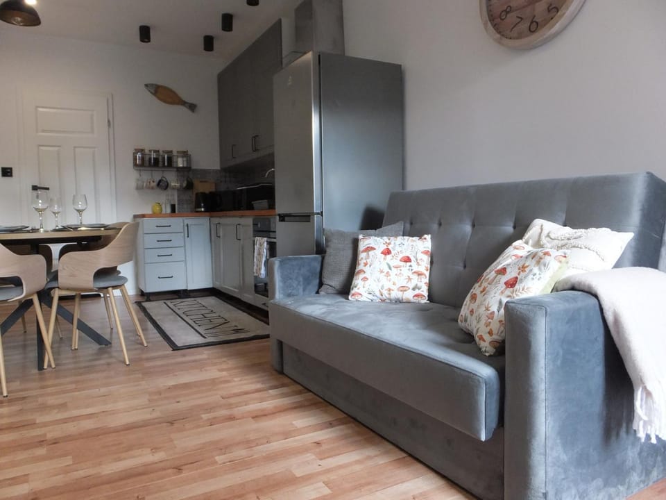 Kitchen or kitchenette, Living room, Seating area, Dining area, oven, stove