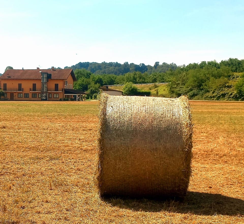 La Primarosa B&B Bed and Breakfast in Piedmont
