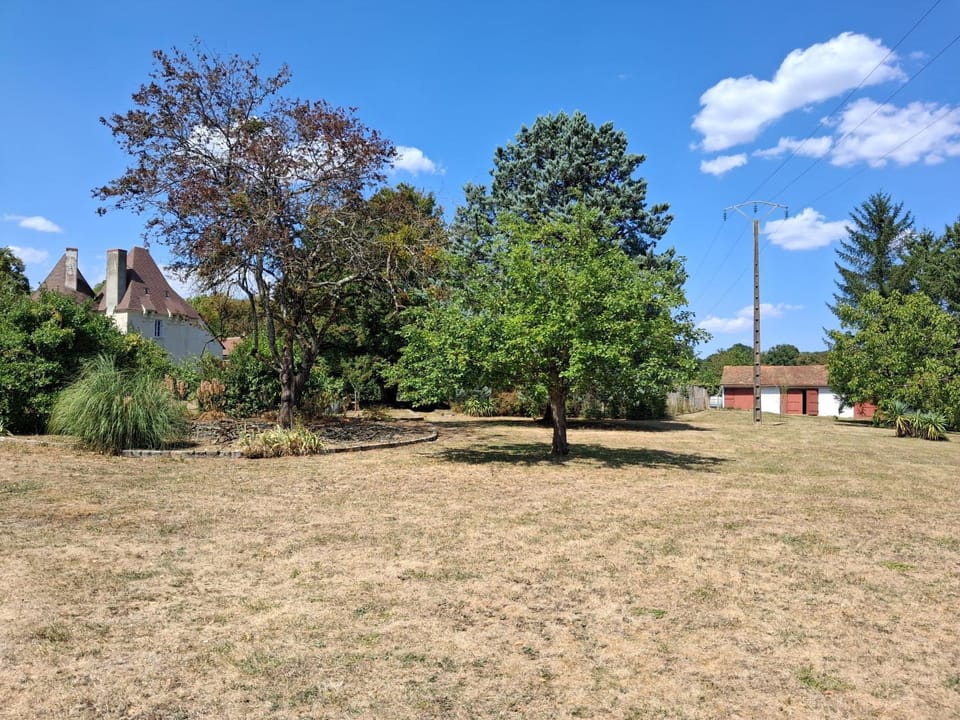 Natural landscape, Garden, Garden, Garden view