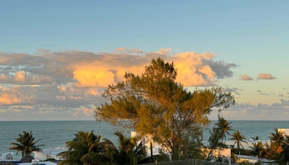 Natural landscape, Beach, Sea view