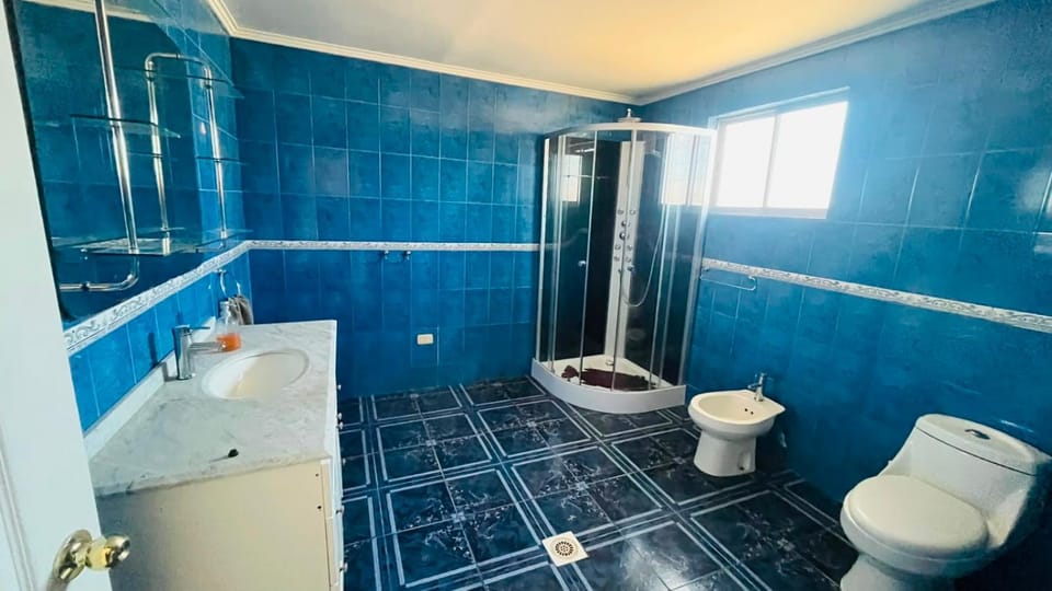 Shower, Bathroom, bidet