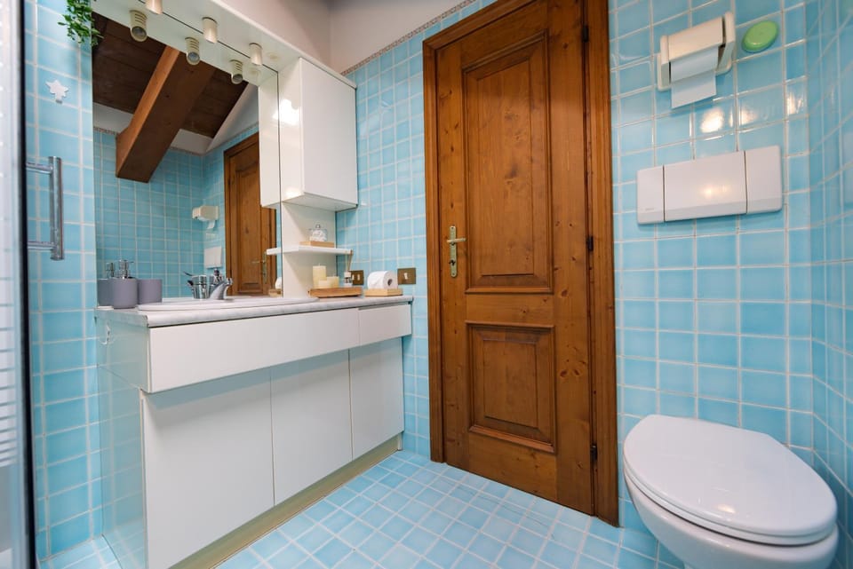 Shower, Toilet, Bathroom, bidet