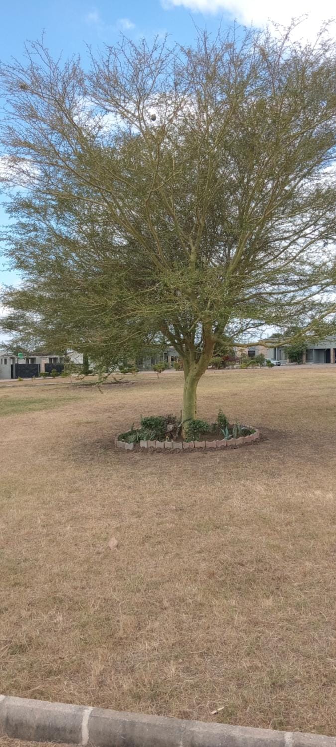 Serenity Haven apartments 2 Apartment in Lusaka
