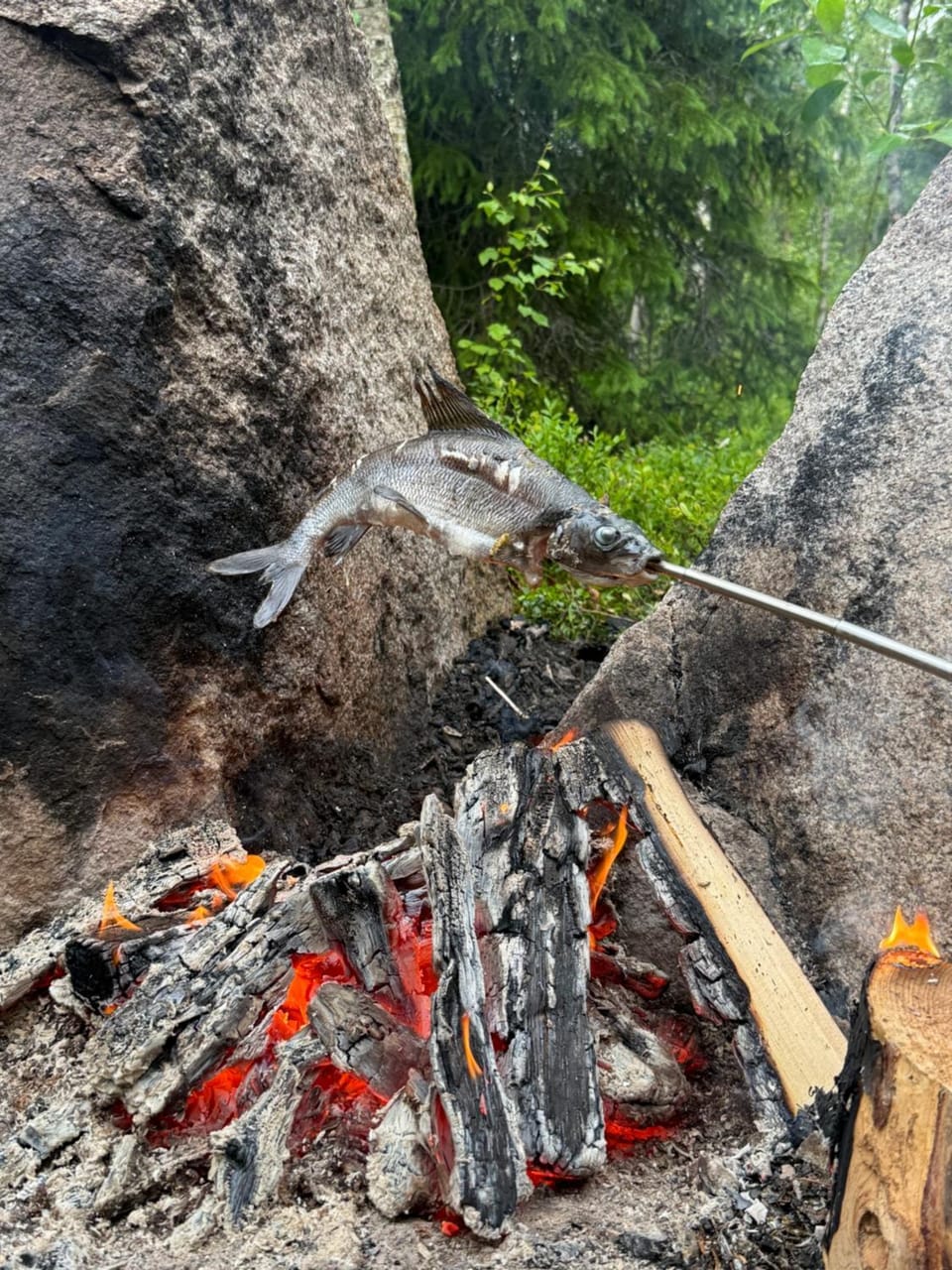 BBQ facilities