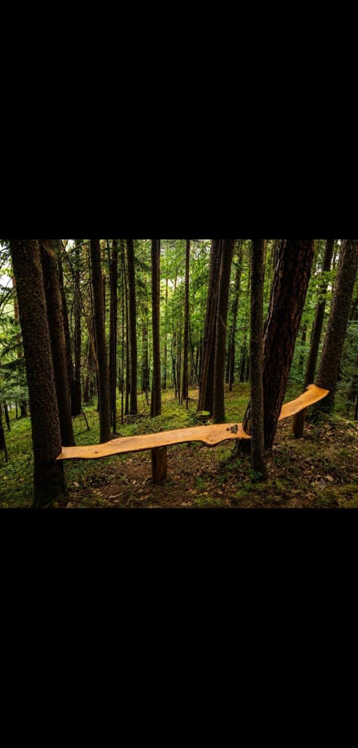 Mornov raj Luxury tent in Slovenia