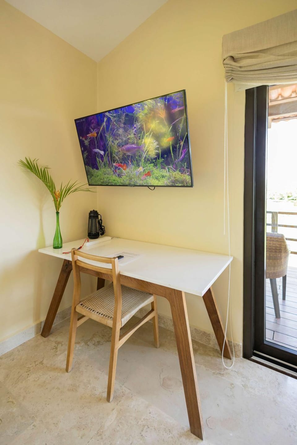 TV and multimedia