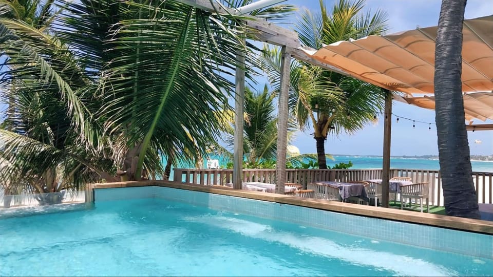 Patio, Restaurant/places to eat, Day, Natural landscape, Beach, Swimming pool