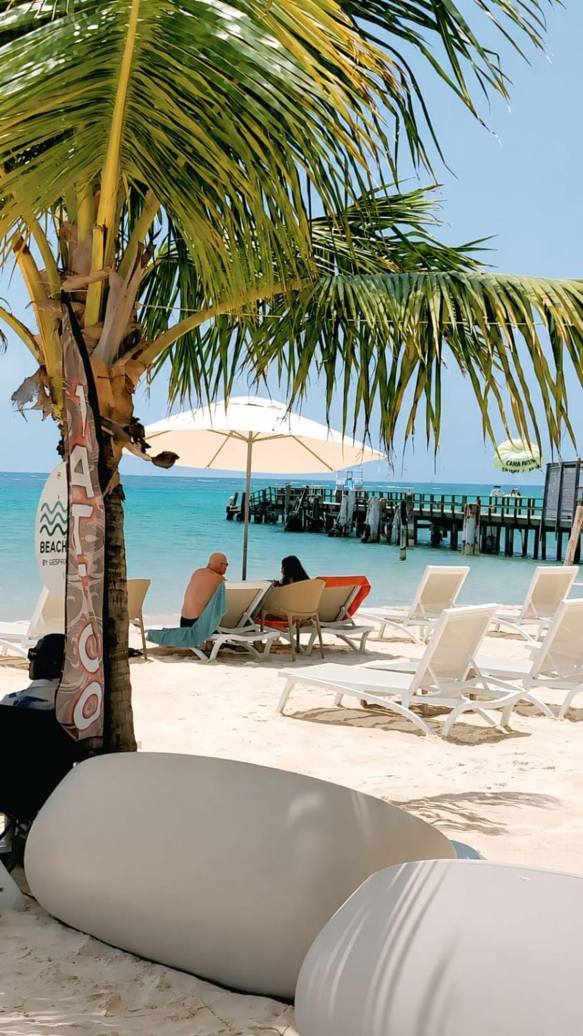 Day, Natural landscape, Beach, sunbed