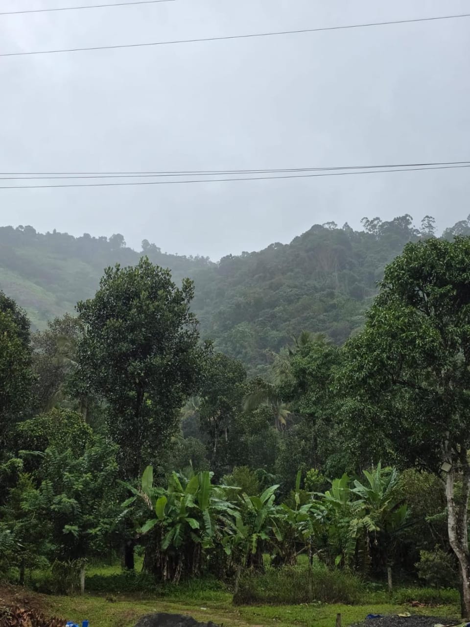 Mountain view