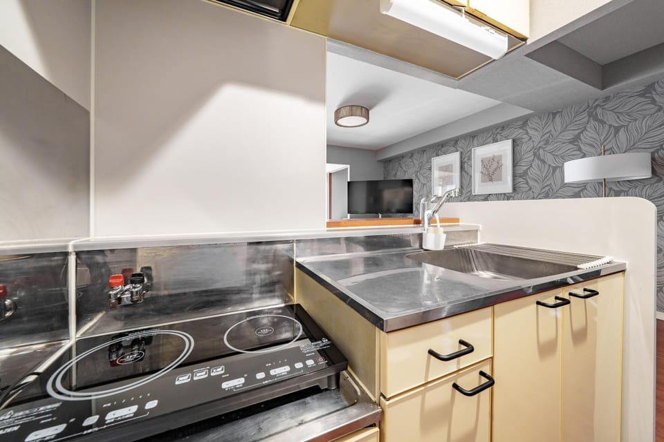 dishwasher, stove, kitchen