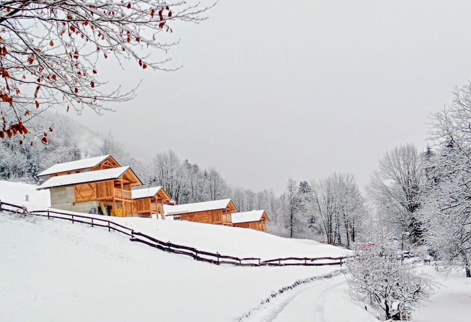 Natural landscape, Winter, Lobby or reception