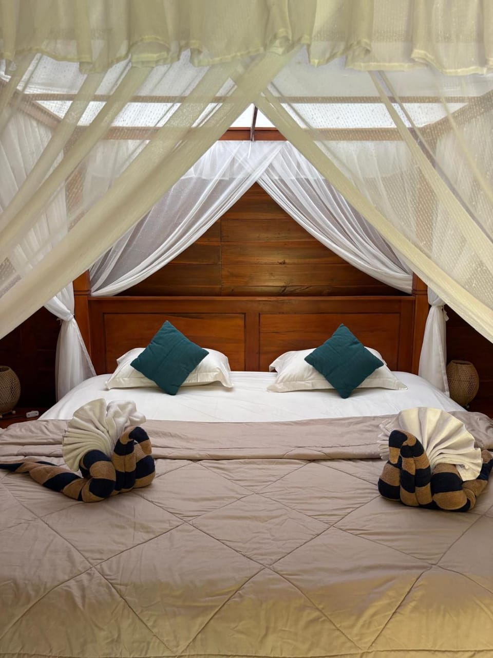 Bed, towels