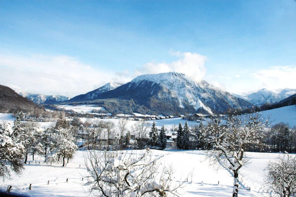 Dammerer Hof inkl. Chiemgaukarte Apartment in Ruhpolding