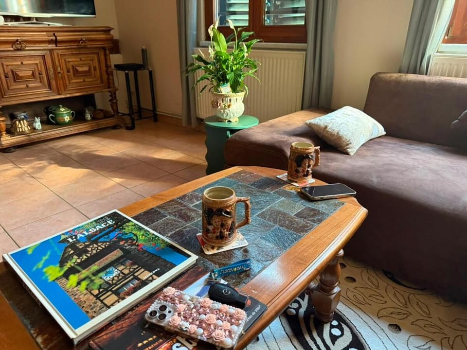 Chez Leila Apartment in Grand Est