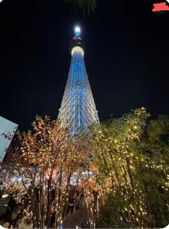 Skyhotel 晴空塔商圈观景阳台房 车站3分钟 直达机场 涉谷 迪士尼 上野 浅草401 Apartment in Japan