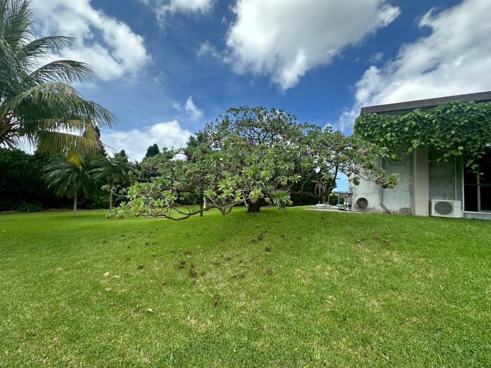 ペンション道半 んつなか Bed and Breakfast in Okinawa Prefecture