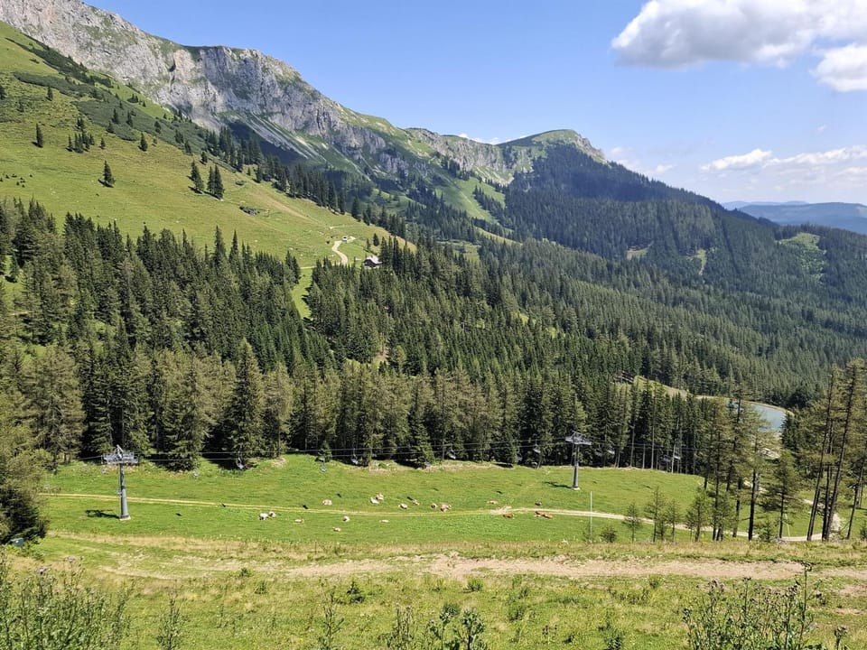 Natural landscape, Skiing, Hiking, Mountain view
