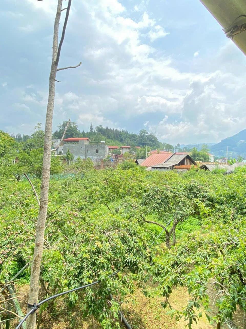 Property building, Garden view, Quiet street view
