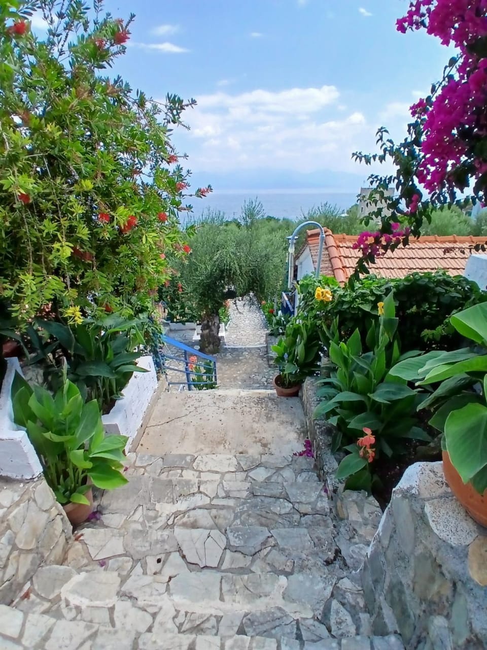 Christina sea view 1 House in Messenia