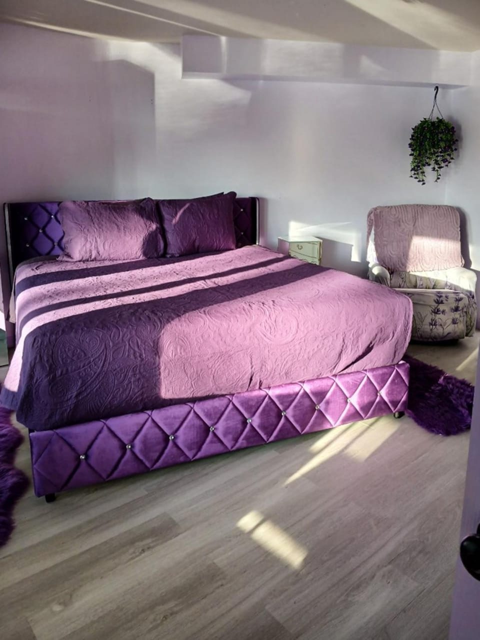 Lavender Oceanview Retreat Apartment in Bainbridge Island