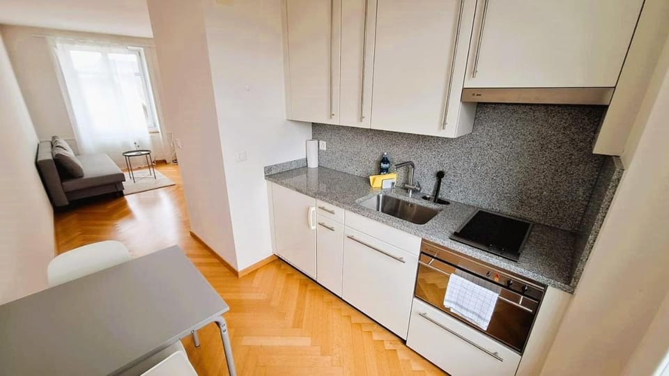 Amazing Flat in heart of Zurich Old Town GlockenB Apartment in Zurich City