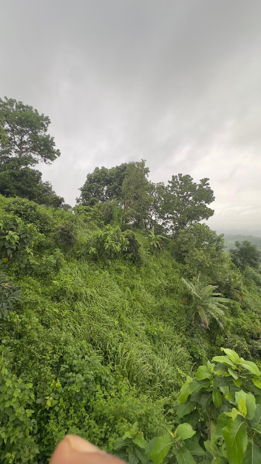 Himachol Resort, Sreemangal Hotel in Bangladesh