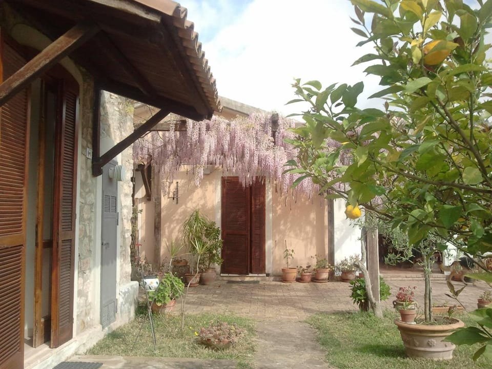 La Gabbianella e il Gatto Farm Stay in Campania
