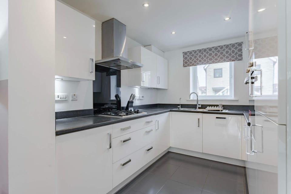 Kitchen or kitchenette, dishwasher, stove