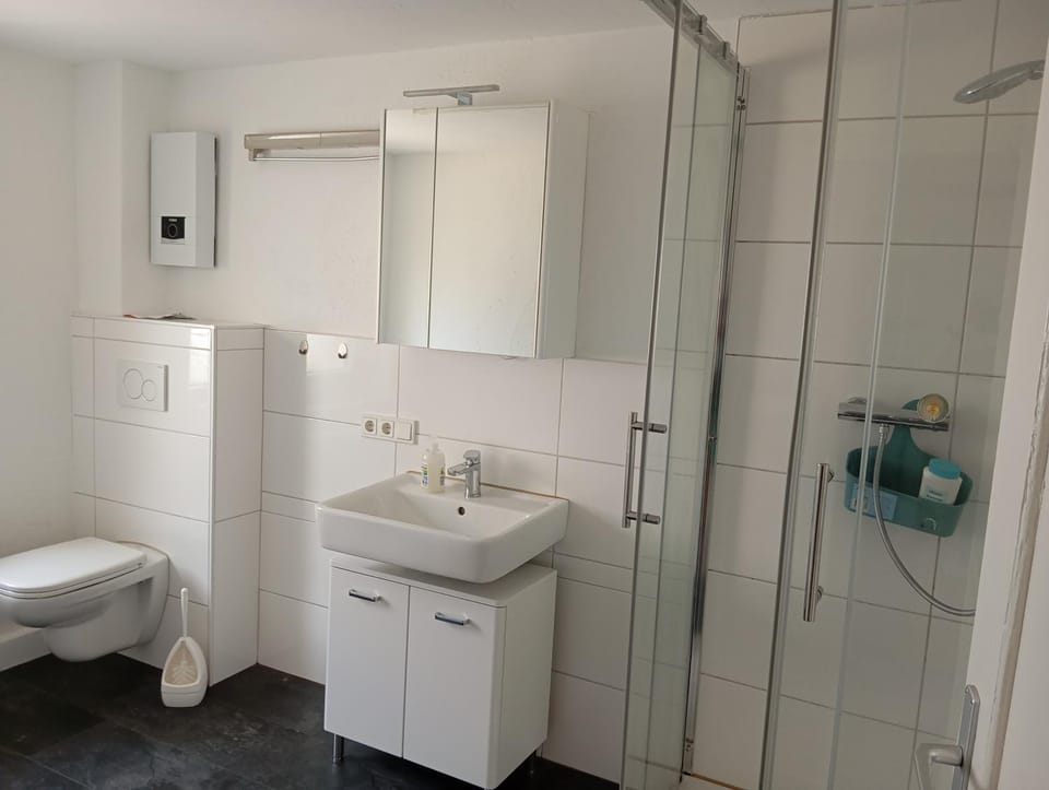 Bathroom, Living room