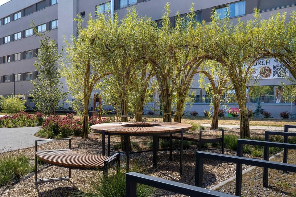 Property building, Day, Garden