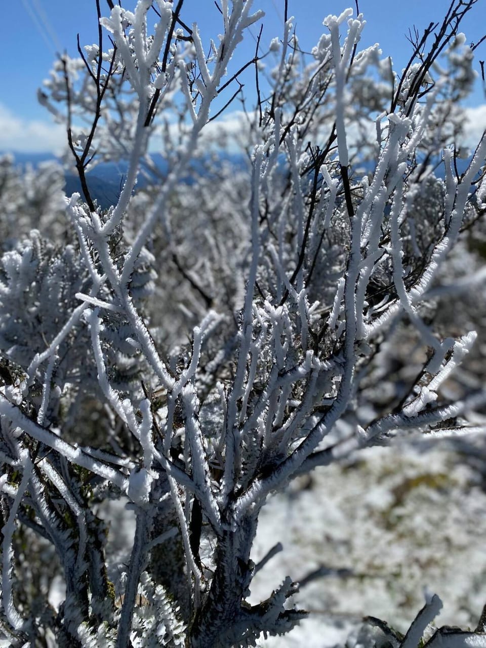 Natural landscape, Winter