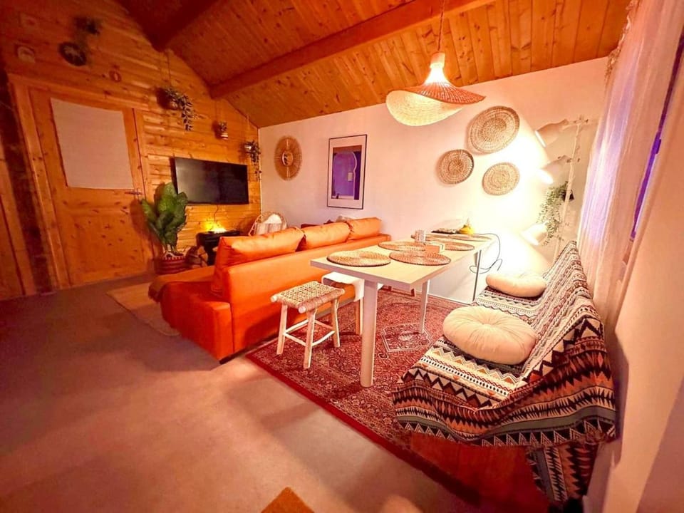 Bohemian style house with private jacuzzi and sauna and free parking near Amsterdam and Airport House in Haarlem