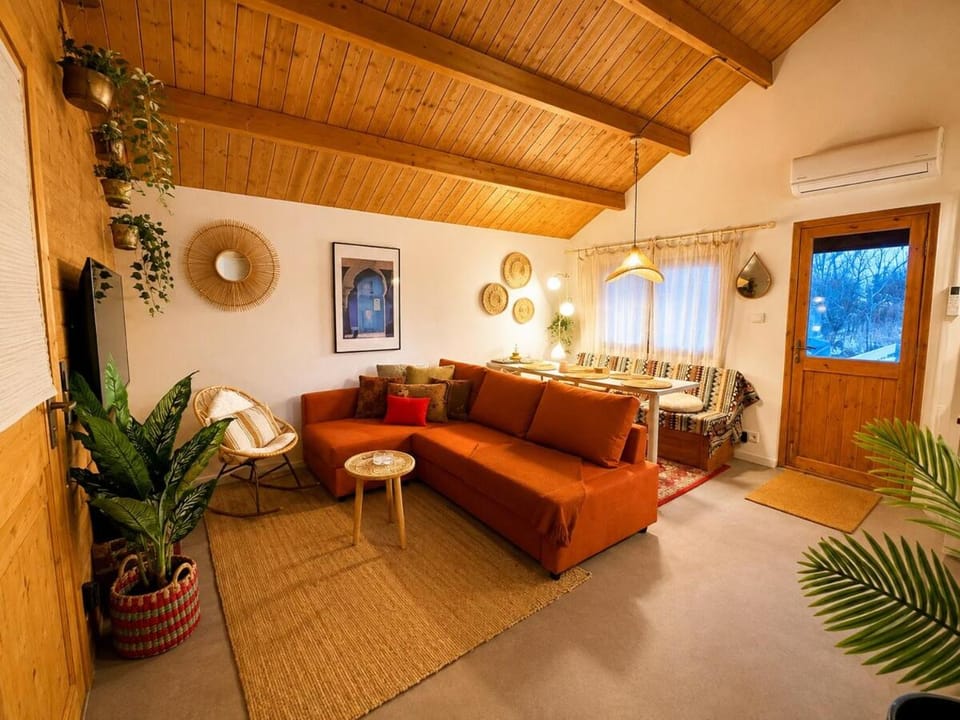 Bohemian style house with private jacuzzi and sauna and free parking near Amsterdam and Airport House in Haarlem