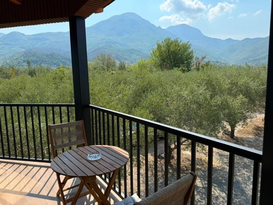 Octerra Villa - Private Jacuzzi - Lake & Mountain View House in Europe