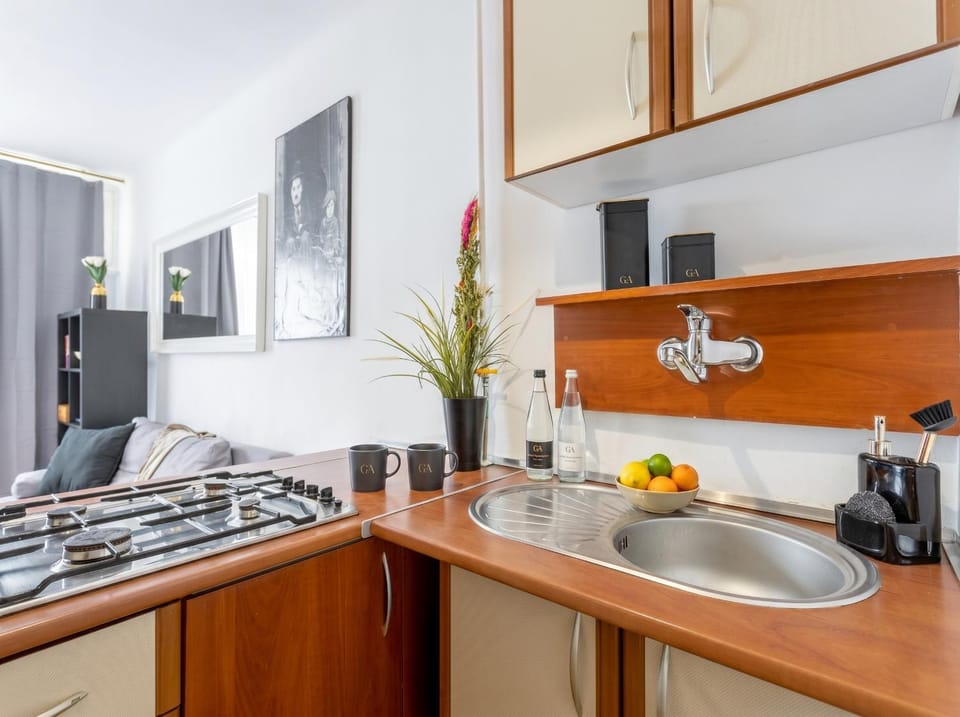 Kitchen or kitchenette, dishwasher, minibar, pet friendly, stove