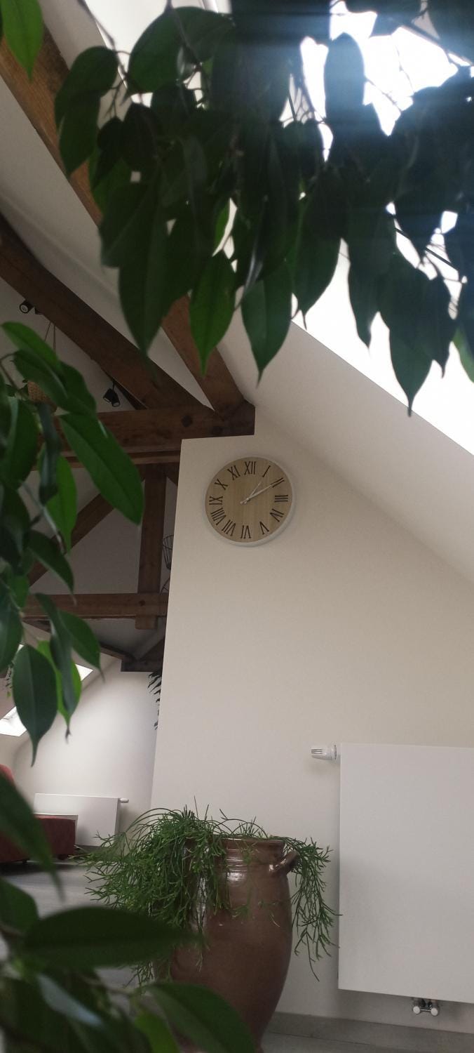 Le gîte du Rigaumont House in Belgium