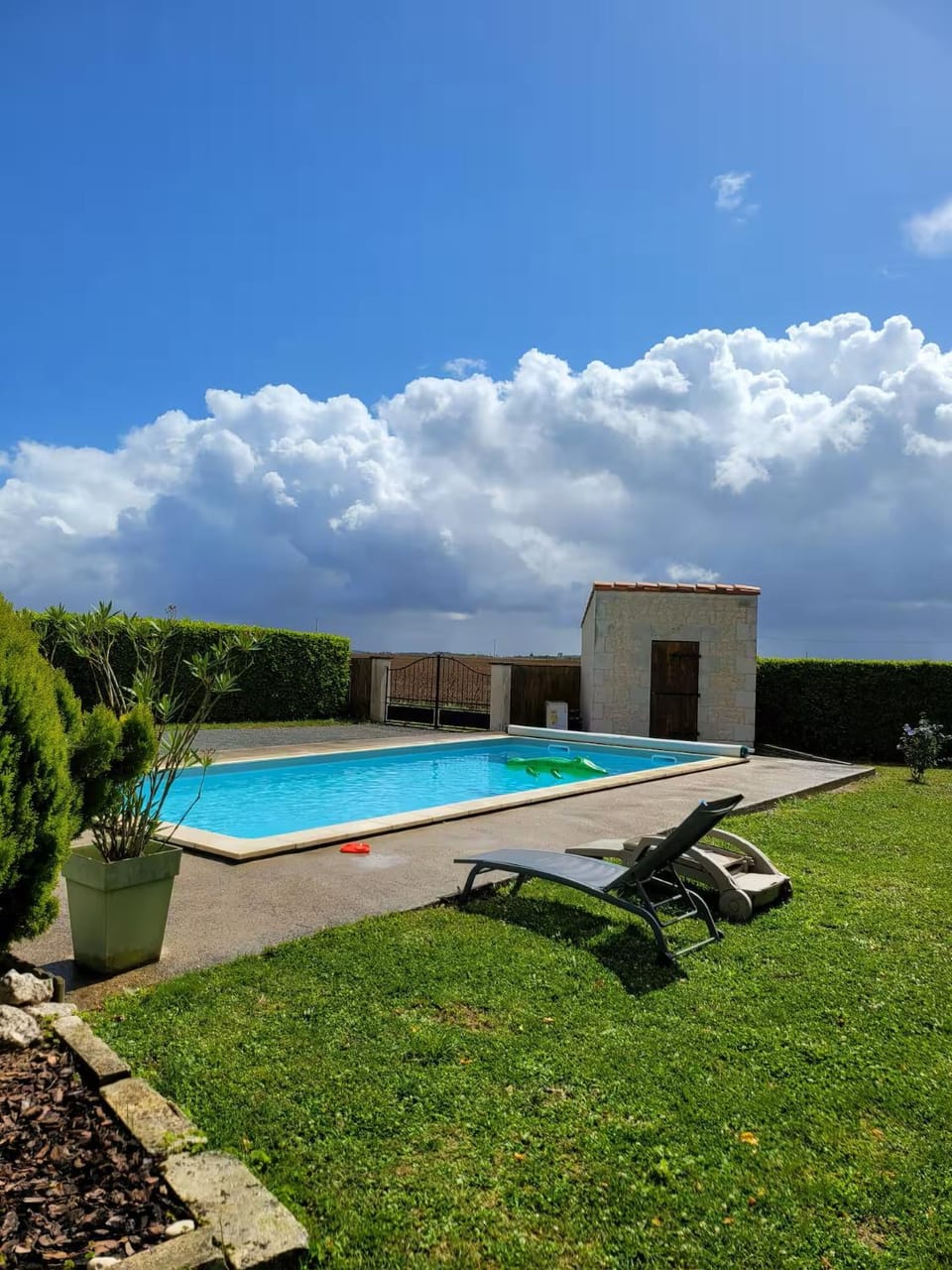 Garden, Swimming pool, Swimming pool