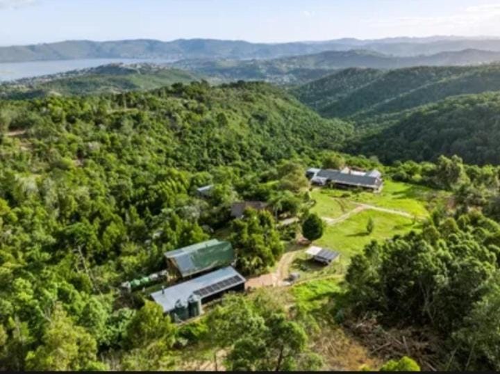 Knysna Forest Accomodation House in Knysna