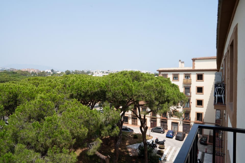 Garden view