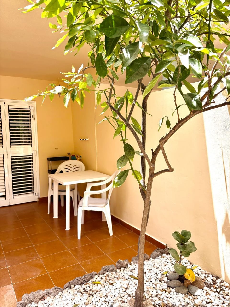 Dacota cozy apartment Apartment in Costa Adeje