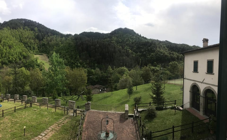 Mountain view