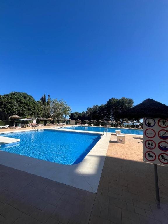 Swimming pool, sunbed