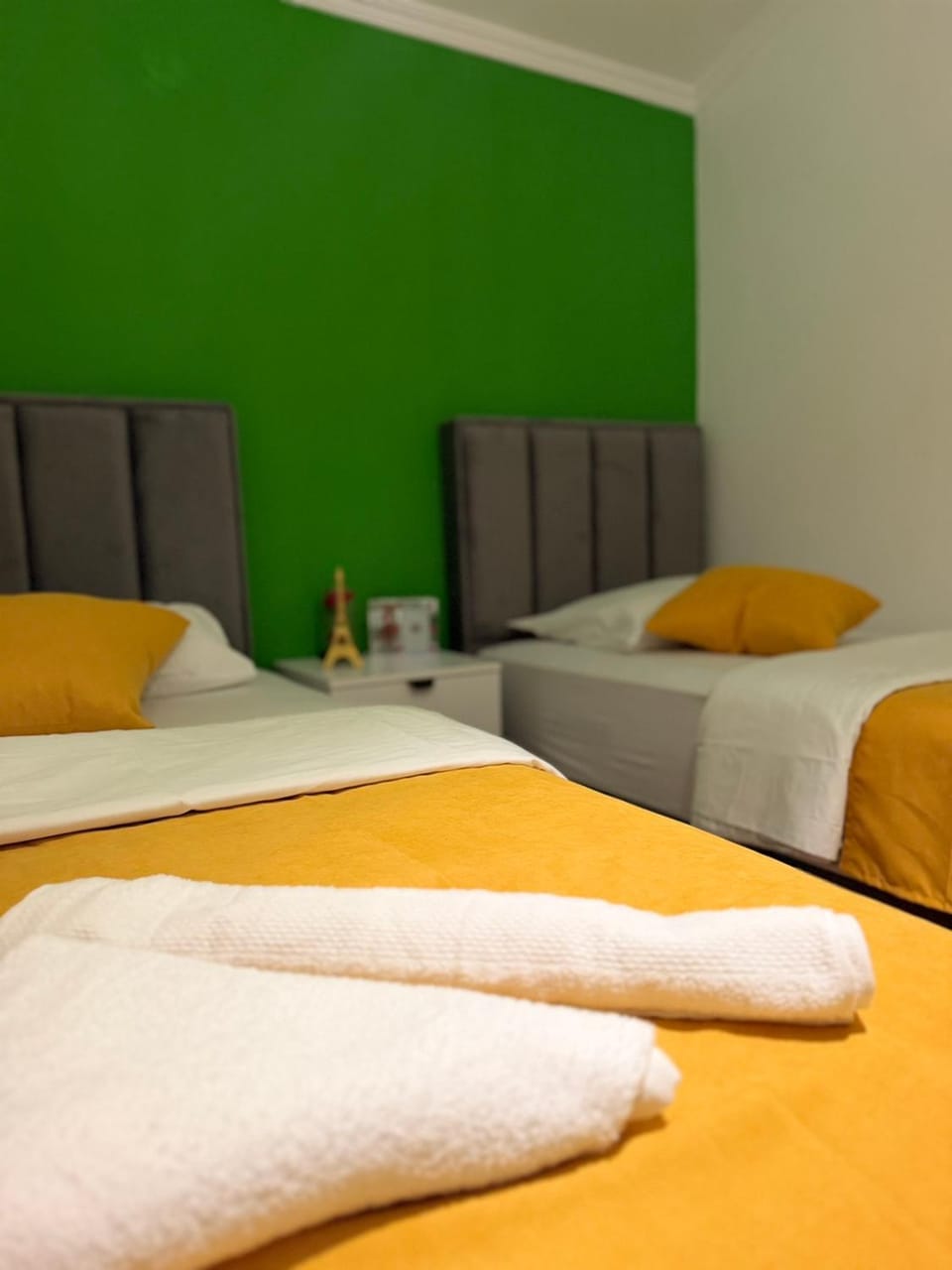 Vila Knežević Apartment in Podgorica